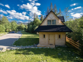 Zakopiańskie domki przy Potoku Zakopane